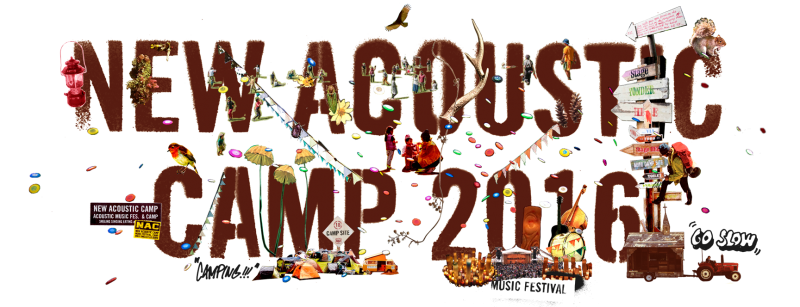 newacousticcamp2016_1