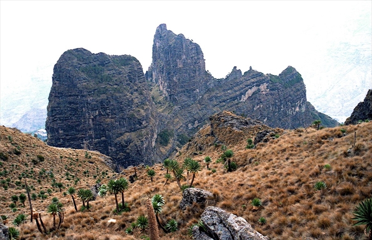 rThe Simien Mountains National Park 3