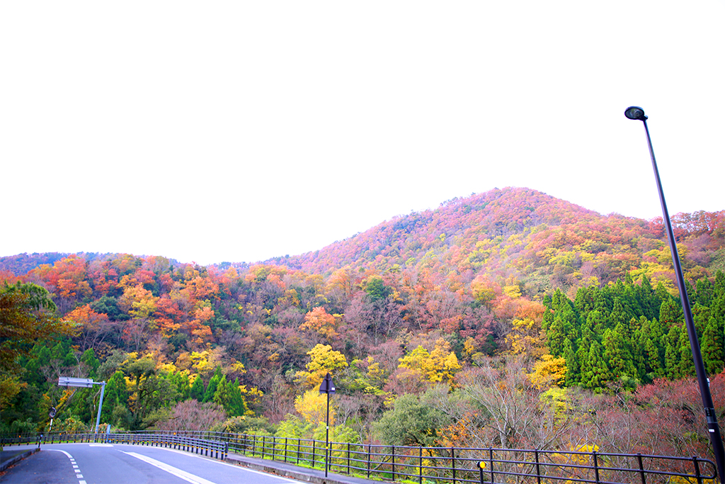 tottori_201