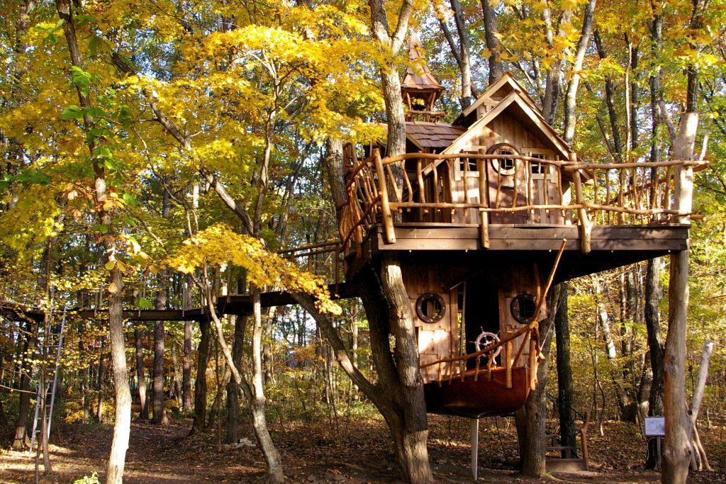 群馬県、浅間高原に広がる3万坪のキャンプ場！北軽井沢スウィート