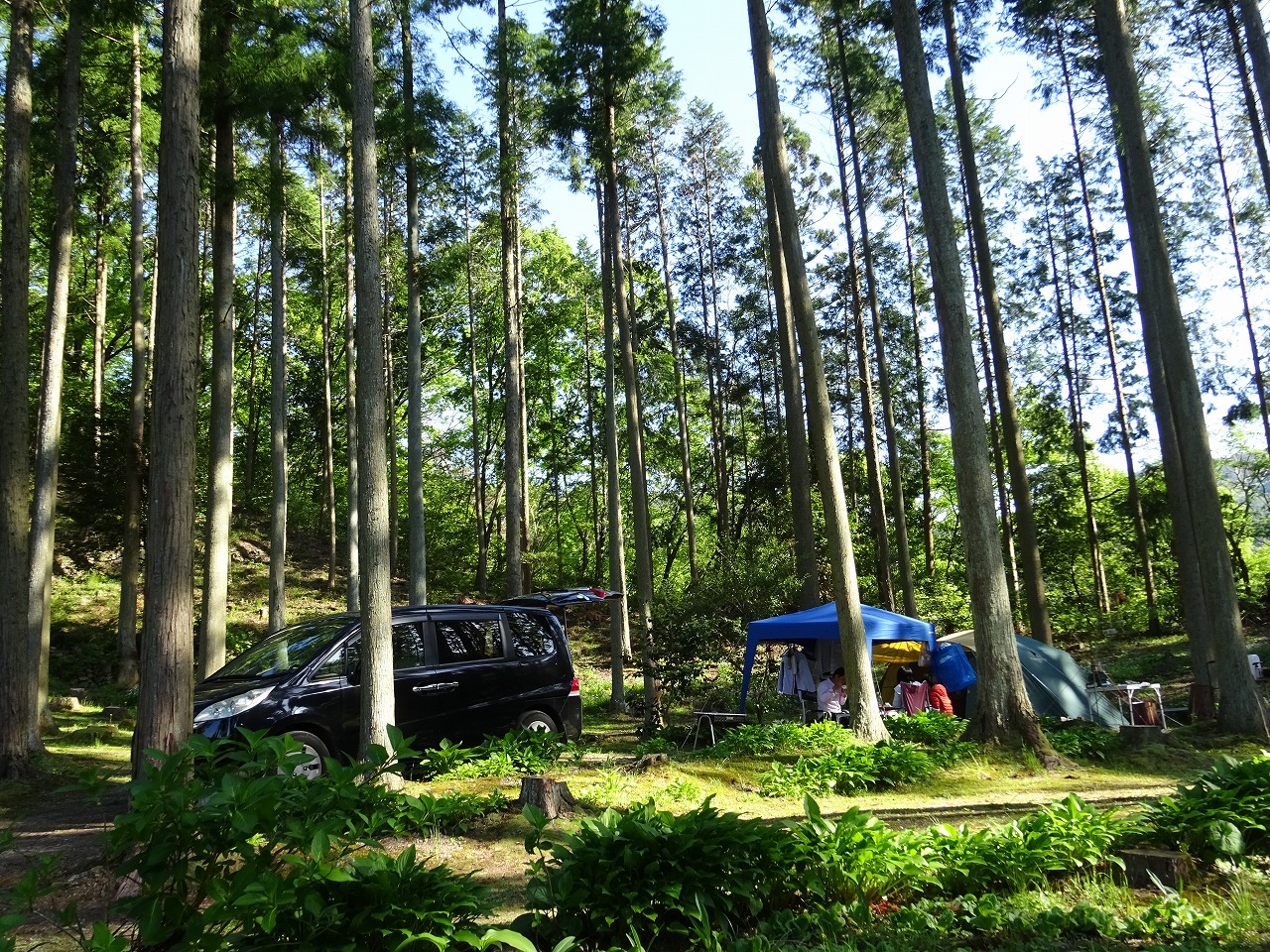 dsc01904