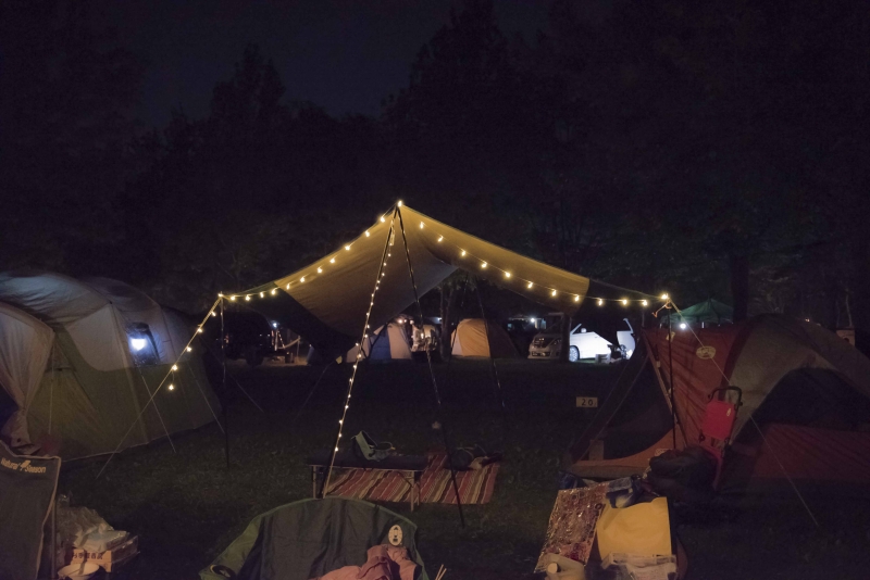 キャンプで大活躍テント ライト チェリーボール ガーランド 通販