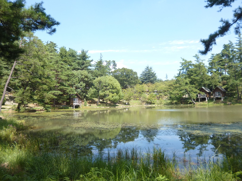 キャンプ 場 池 藤波