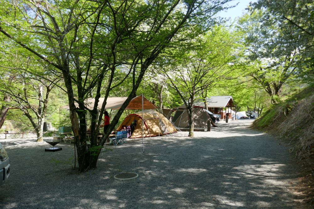 山梨県北杜市 木々に囲まれた自然豊かで静かなキャンプ場 Foresters Village Kobitto キャンプ情報メディア Lantern ランタン