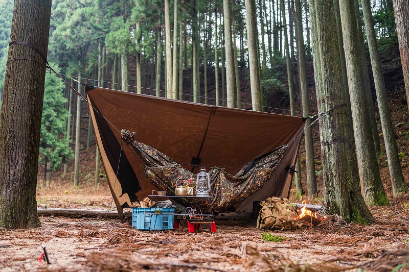 こだわりはハンモック泊でのソロキャンプ 木立の下で焚き火と向き合う キャンプ情報メディア Lantern ランタン