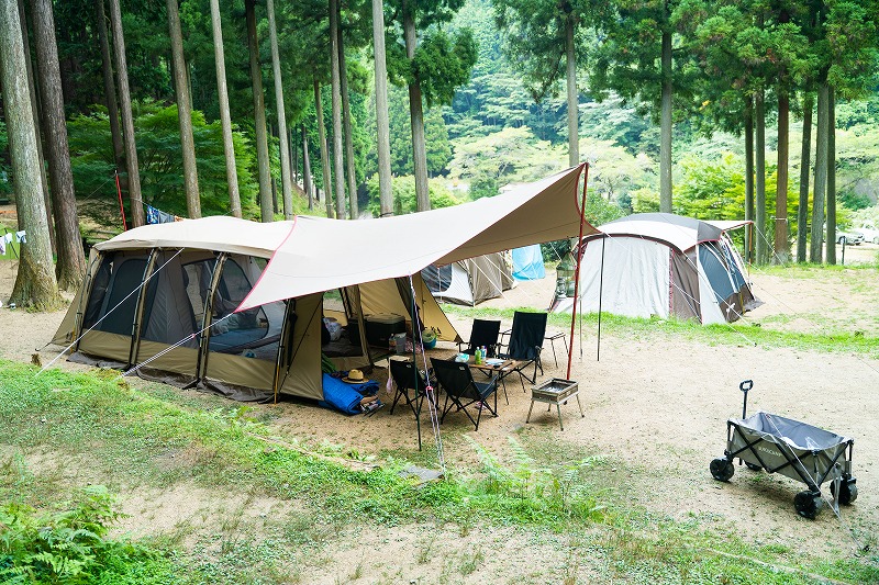 夏のキャンプスタイル（林間サイト）