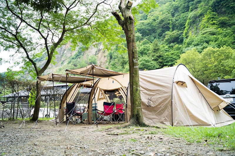 夏のキャンプスタイル（林間サイト）