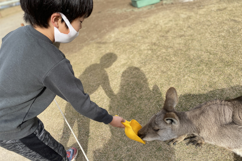 ソレイユの丘キャンプ場