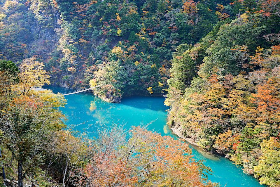 夢のつり橋