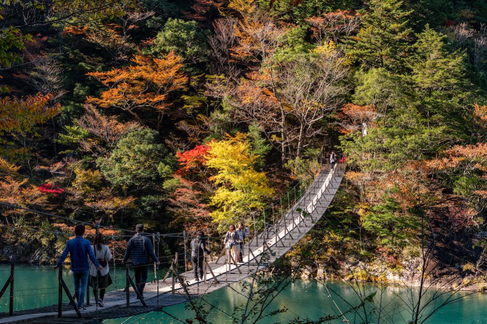 夢のつり橋