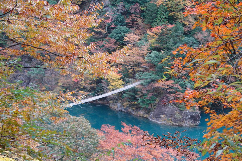 夢のつり橋