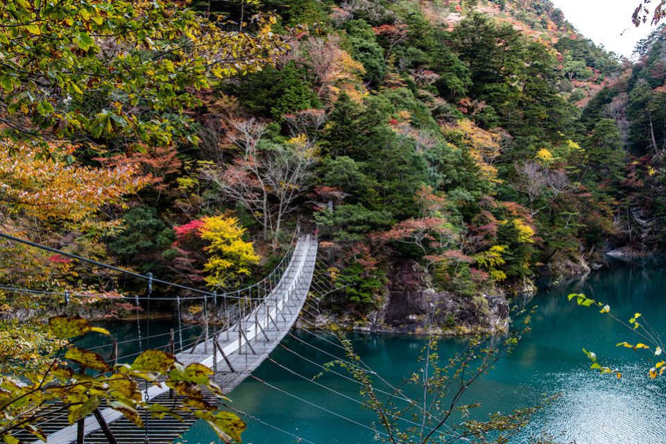 夢のつり橋