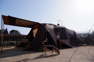 愛犬と一緒に楽しむキャンプはシンプルに！お気に入りのギアボックスで整理整頓