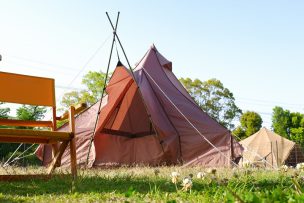 大きなテントで子連れグルキャン。長年愛用する道具と一緒にアウトドアを楽しむ